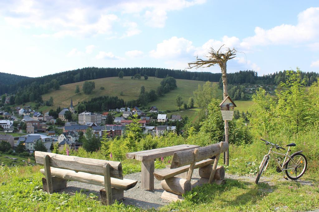 Landhotel Gasthof Zwota Klingenthal Εξωτερικό φωτογραφία